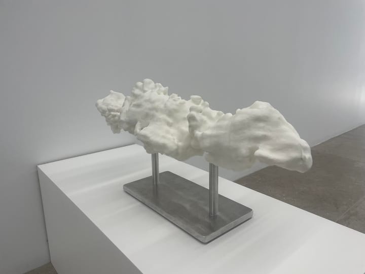 Fluid Motion: The Perfect Mix of Art and Science in Houston